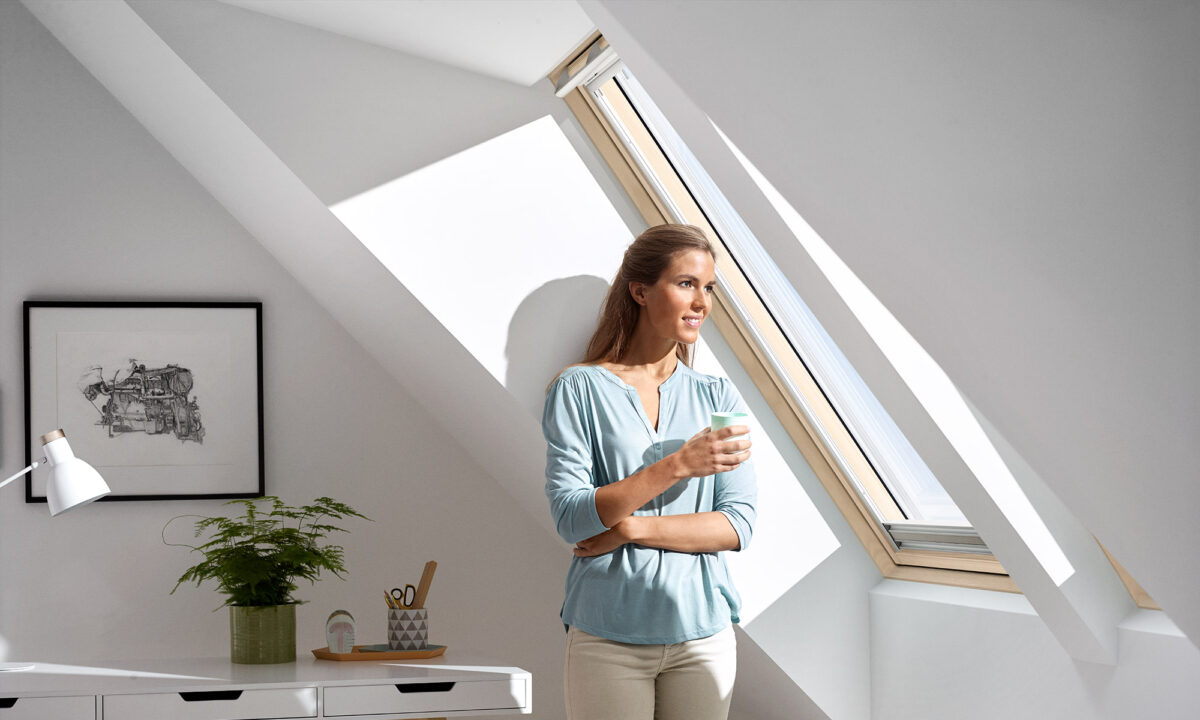 finestre tetti velux